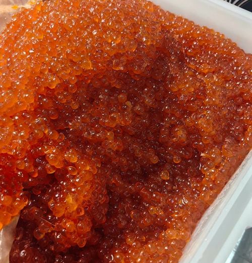 Фото пресс-службы Россельхознадзора по Хакасии и Туве